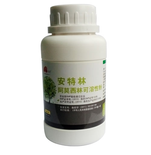 ��Ī���ֿ����Է�---������